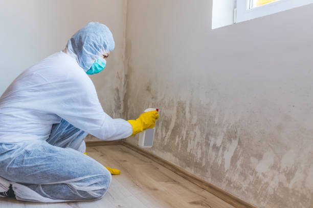 Mold Remediation specialist working in Woodstock